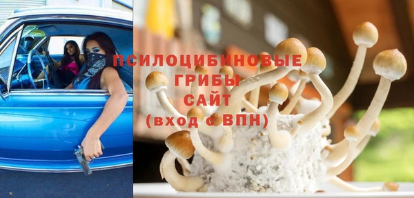 шишки Алексеевка