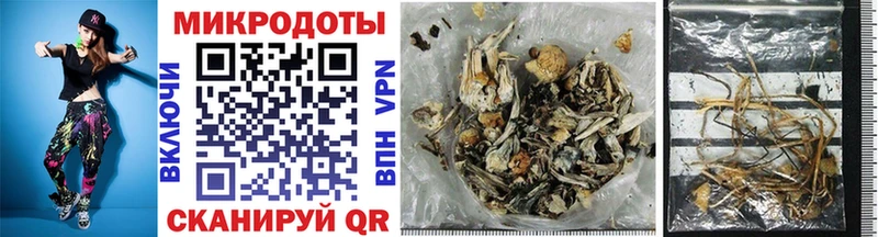 Псилоцибиновые грибы Psilocybe  Купить закладки  Калининград 