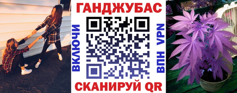 Купить  Калининград  Канабис план 